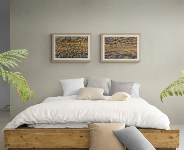 Extraordinary-experiences-Bohemian-bedroom-desert-dry-river-beds-with-trees-artwork-small-multi